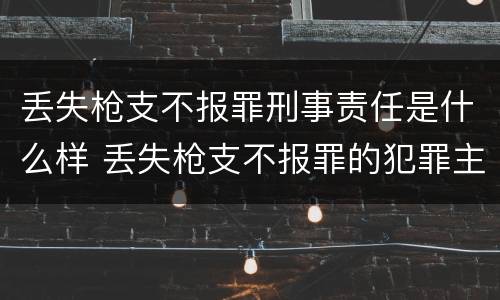 丢失枪支不报罪刑事责任是什么样 丢失枪支不报罪的犯罪主体只能是什么
