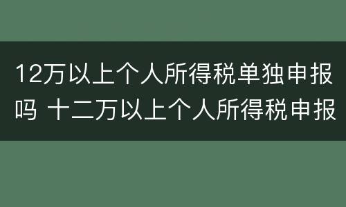 12万以上个人所得税单独申报吗 十二万以上个人所得税申报
