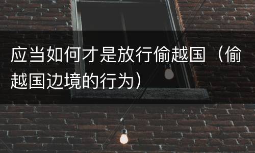 应当如何才是放行偷越国（偷越国边境的行为）