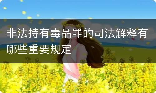 非法持有毒品罪的司法解释有哪些重要规定