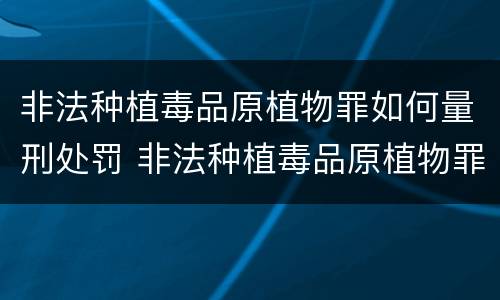 非法种植毒品原植物罪如何量刑处罚 非法种植毒品原植物罪如何量刑处罚标准