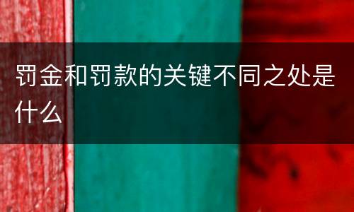 罚金和罚款的关键不同之处是什么