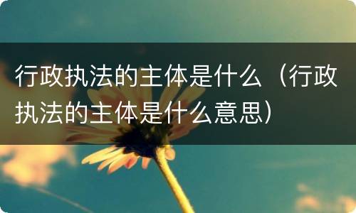 行政执法的主体是什么（行政执法的主体是什么意思）