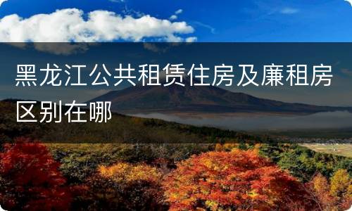 黑龙江公共租赁住房及廉租房区别在哪