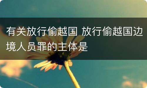 有关放行偷越国 放行偷越国边境人员罪的主体是