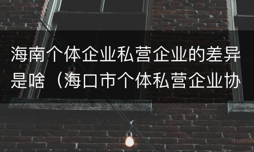 海南个体企业私营企业的差异是啥（海口市个体私营企业协会）