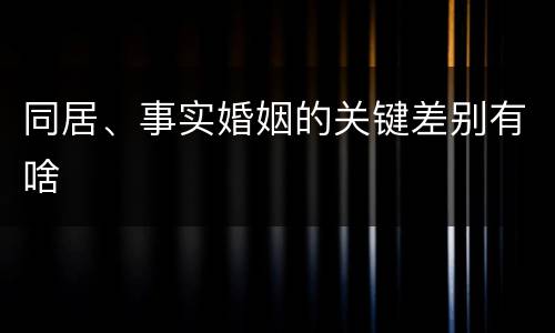 同居、事实婚姻的关键差别有啥