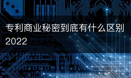 专利商业秘密到底有什么区别2022