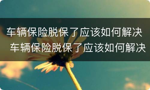 车辆保险脱保了应该如何解决 车辆保险脱保了应该如何解决呢