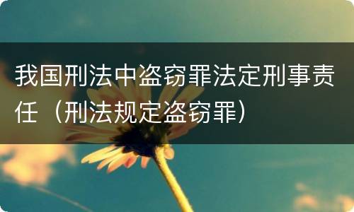 我国刑法中盗窃罪法定刑事责任（刑法规定盗窃罪）