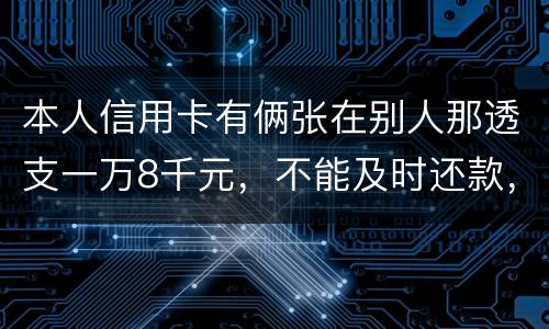 本人信用卡有俩张在别人那透支一万8千元，不能及时还款，能起诉吗