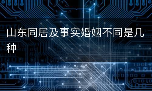 山东同居及事实婚姻不同是几种