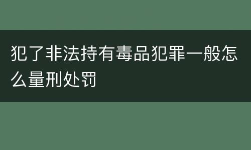 犯了非法持有毒品犯罪一般怎么量刑处罚