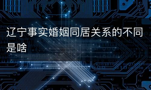 辽宁事实婚姻同居关系的不同是啥