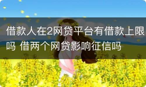 借款人在2网贷平台有借款上限吗 借两个网贷影响征信吗