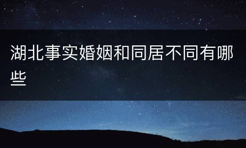 湖北事实婚姻和同居不同有哪些