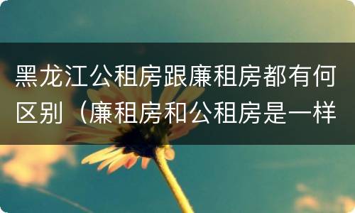 黑龙江公租房跟廉租房都有何区别（廉租房和公租房是一样的吗）