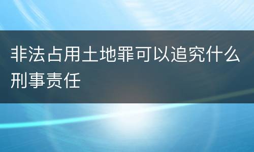 非法占用土地罪可以追究什么刑事责任