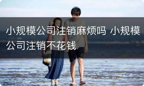 小规模公司注销麻烦吗 小规模公司注销不花钱