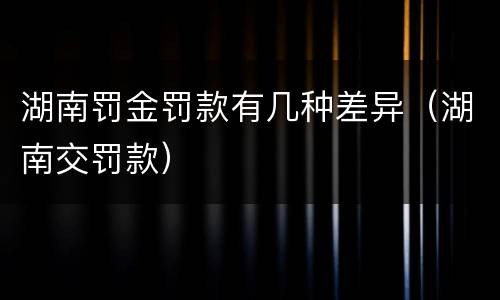 湖南罚金罚款有几种差异（湖南交罚款）