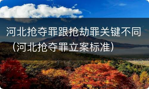 河北抢夺罪跟抢劫罪关键不同（河北抢夺罪立案标准）