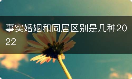 事实婚姻和同居区别是几种2022