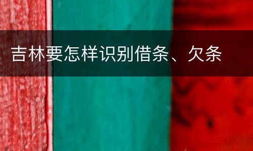 吉林要怎样识别借条、欠条