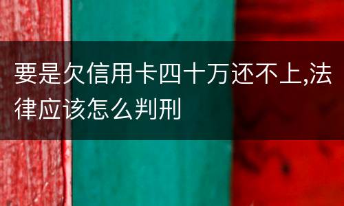 要是欠信用卡四十万还不上,法律应该怎么判刑