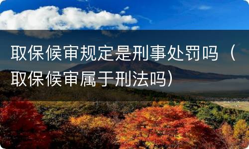 取保候审规定是刑事处罚吗（取保候审属于刑法吗）