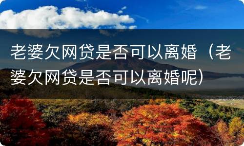 老婆欠网贷是否可以离婚（老婆欠网贷是否可以离婚呢）