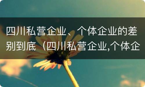 四川私营企业、个体企业的差别到底（四川私营企业,个体企业的差别到底有多大）