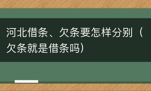 河北借条、欠条要怎样分别（欠条就是借条吗）