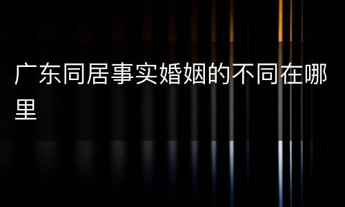 广东同居事实婚姻的不同在哪里