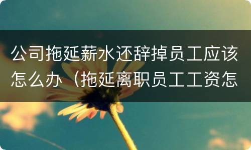 公司拖延薪水还辞掉员工应该怎么办（拖延离职员工工资怎么办）