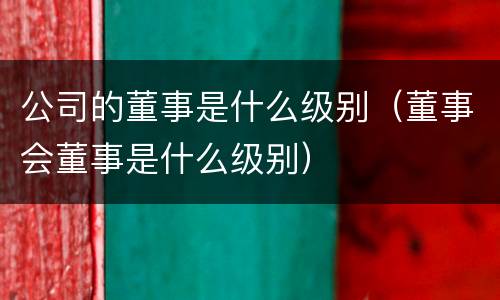 公司的董事是什么级别（董事会董事是什么级别）