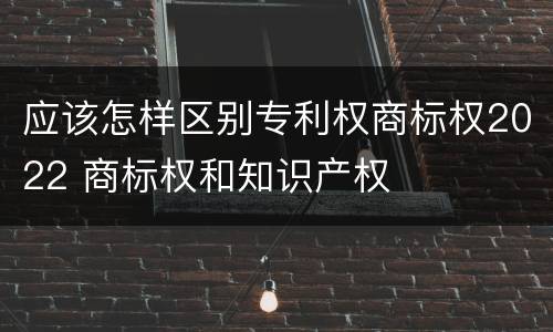 应该怎样区别专利权商标权2022 商标权和知识产权