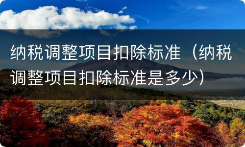 纳税调整项目扣除标准（纳税调整项目扣除标准是多少）