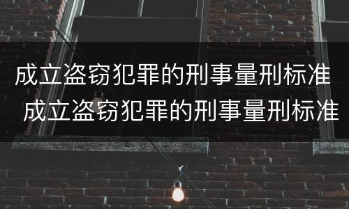 成立盗窃犯罪的刑事量刑标准 成立盗窃犯罪的刑事量刑标准是