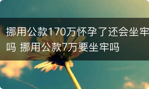 挪用公款170万怀孕了还会坐牢吗 挪用公款7万要坐牢吗