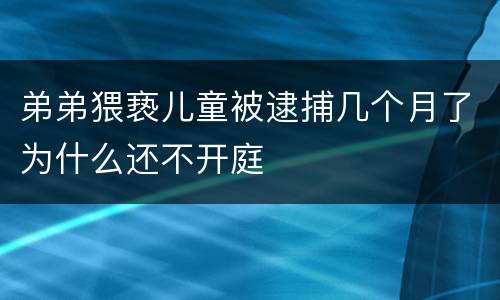 弟弟猥亵儿童被逮捕几个月了为什么还不开庭