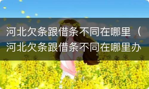 河北欠条跟借条不同在哪里（河北欠条跟借条不同在哪里办理）