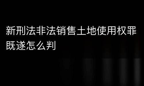新刑法非法销售土地使用权罪既遂怎么判