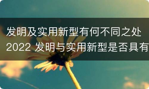 发明及实用新型有何不同之处2022 发明与实用新型是否具有实用性