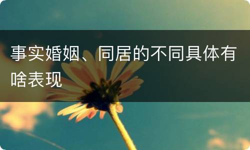 事实婚姻、同居的不同具体有啥表现