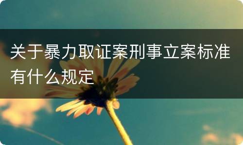 关于暴力取证案刑事立案标准有什么规定