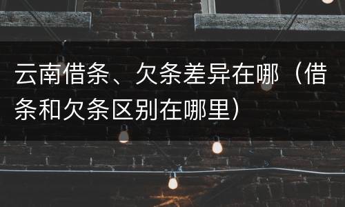 云南借条、欠条差异在哪（借条和欠条区别在哪里）