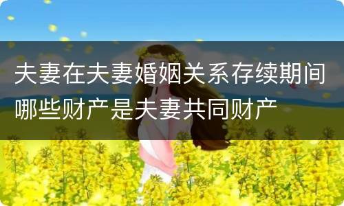 夫妻在夫妻婚姻关系存续期间哪些财产是夫妻共同财产