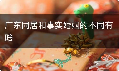 广东同居和事实婚姻的不同有啥