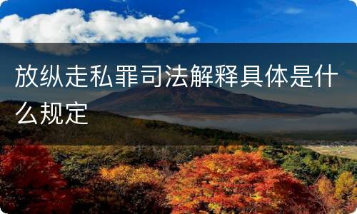放纵走私罪司法解释具体是什么规定