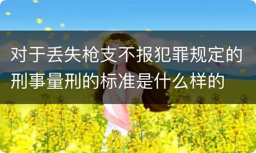 对于丢失枪支不报犯罪规定的刑事量刑的标准是什么样的
